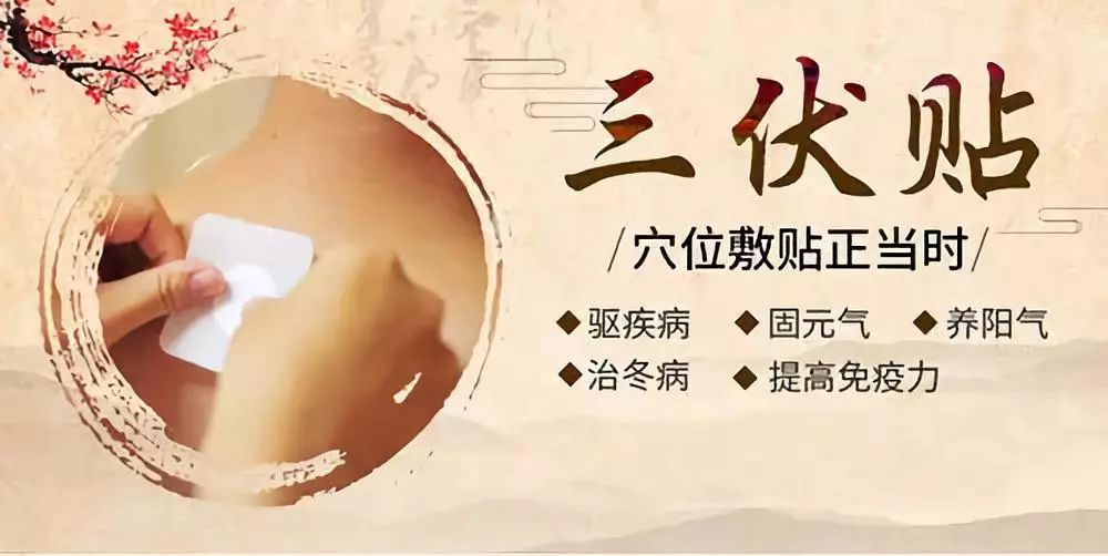 關于三伏貼，你了解多少呢？